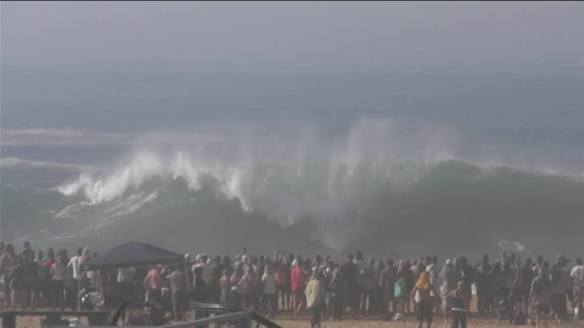 10501838_10204612626784076_1943094060169041584_n