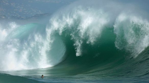 Shutter Pat Facebook